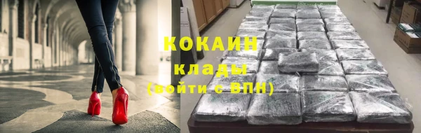 ПСИЛОЦИБИНОВЫЕ ГРИБЫ Магас
