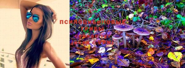 кокс Майский