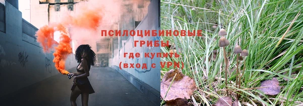 ПСИЛОЦИБИНОВЫЕ ГРИБЫ Магас