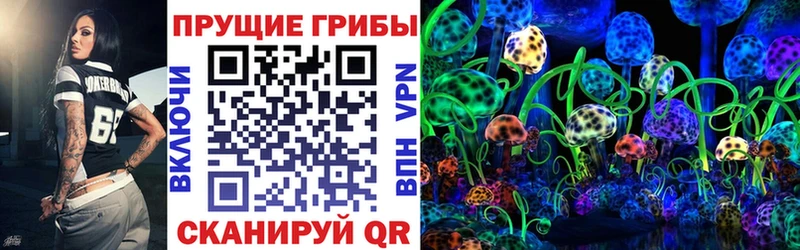 Галлюциногенные грибы Cubensis  Дальнереченск 
