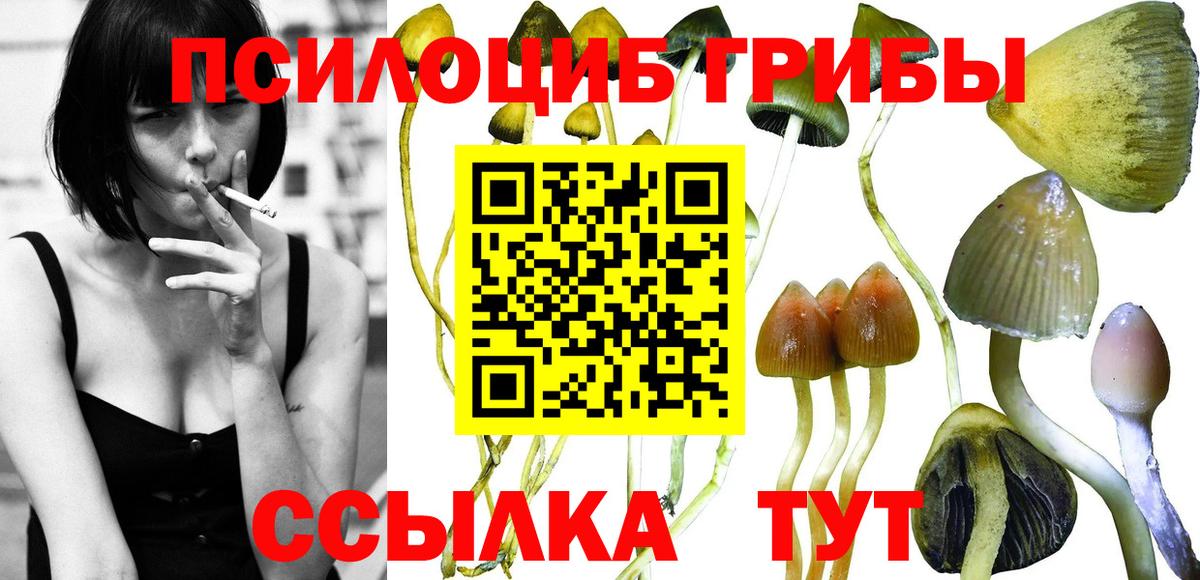 Псилоцибиновые грибы мицелий Дальнереченск